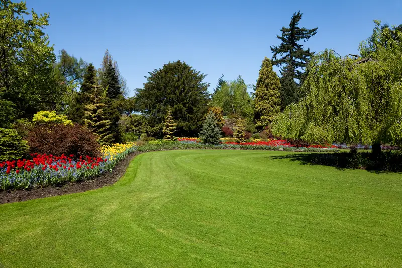 When is the Right Time for Lawn Aeration in Detroit Lakes?