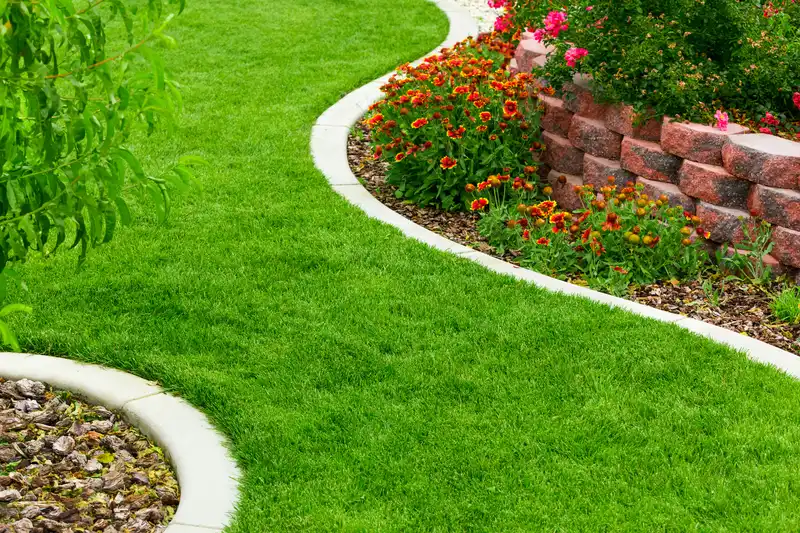 Lawn Mowing by Chips Clips Lawncare MN Lawn Mowing by Chips Clips Lawncare MN